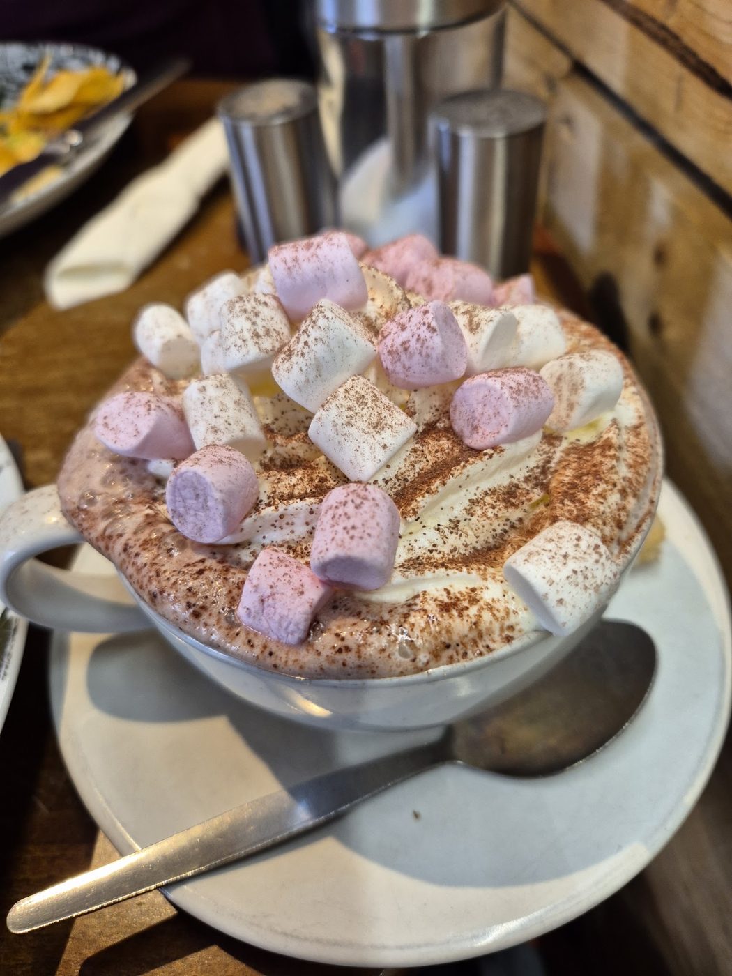 Hot chocolate topped with cream and marshmallows